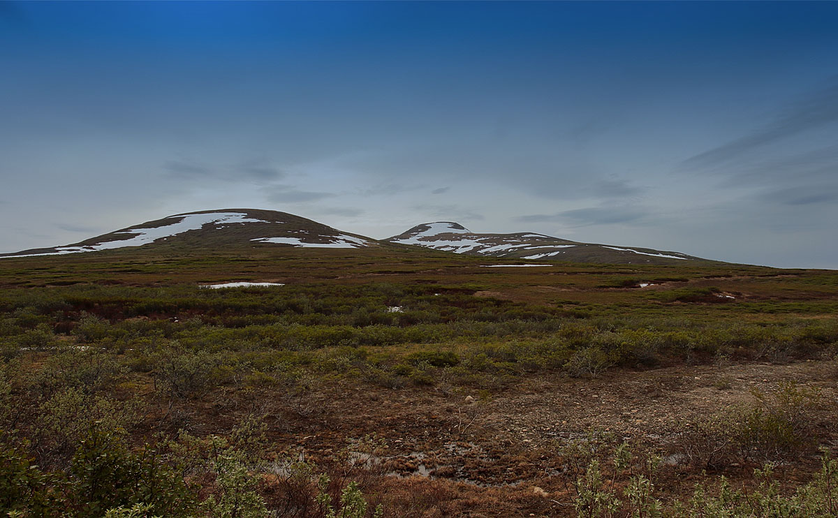 Nome - Arctic Tundra_S1Q5472