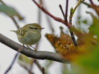 YBW _J4X5638