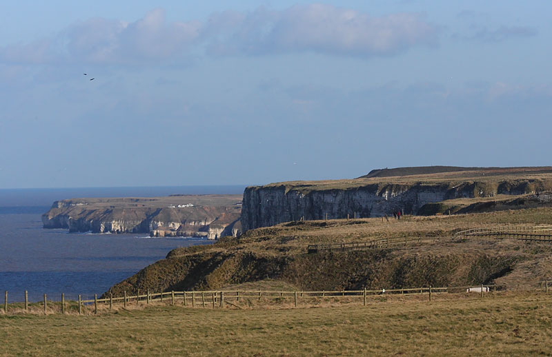 Bempton-01352549