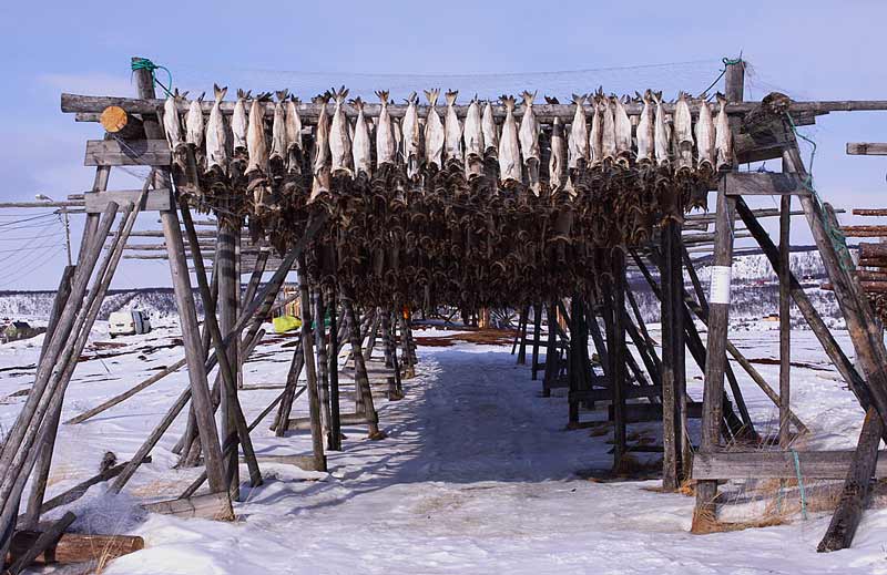 Fish-Racks-Nesseby-97392671