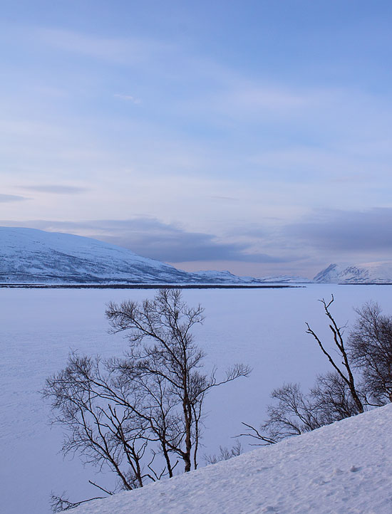 Lake-View-91942665