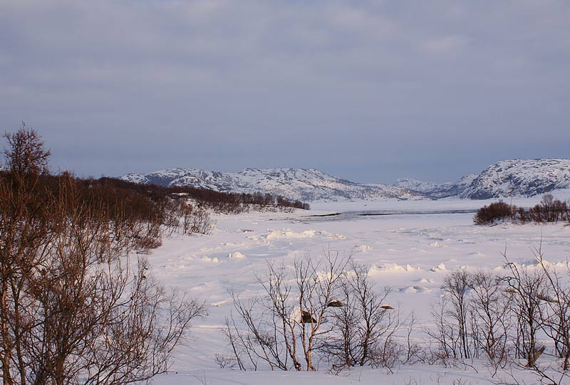Landscape-91742675