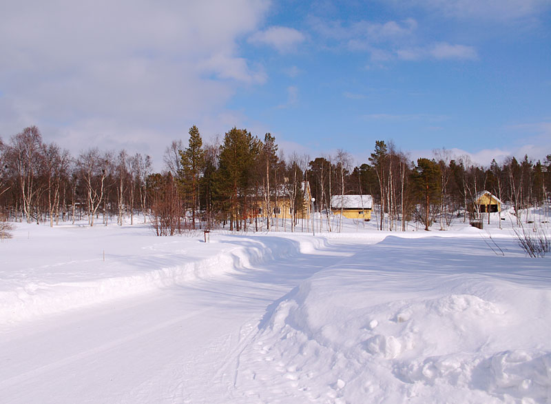Pasvik-Valley-91532676