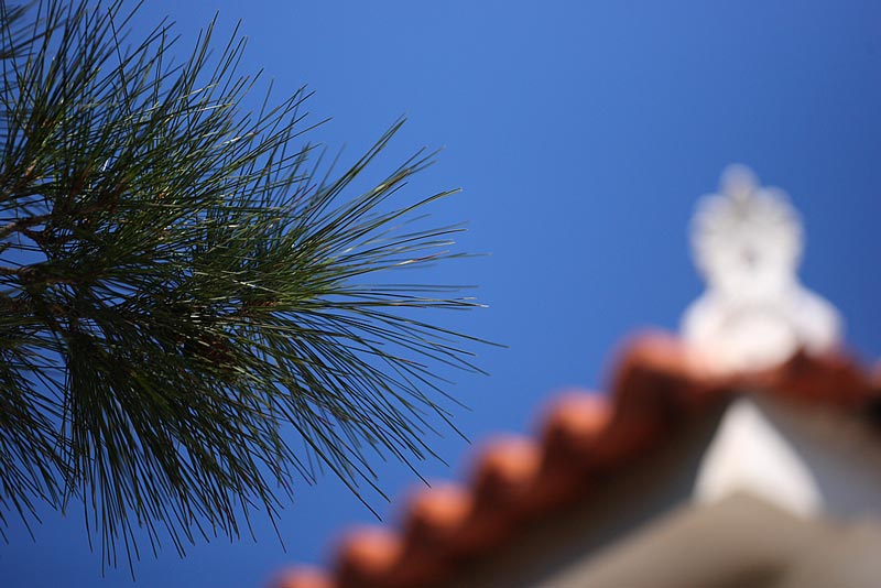 CHAPEL-ROOF-50942853