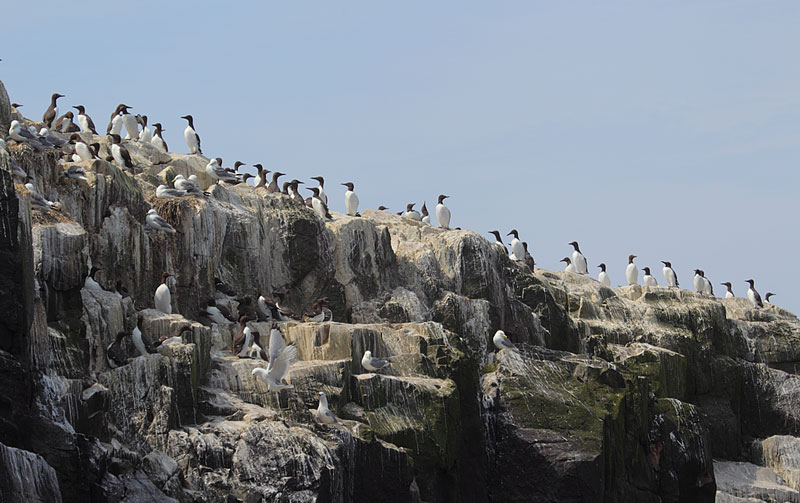 Cliff-setting-01412896