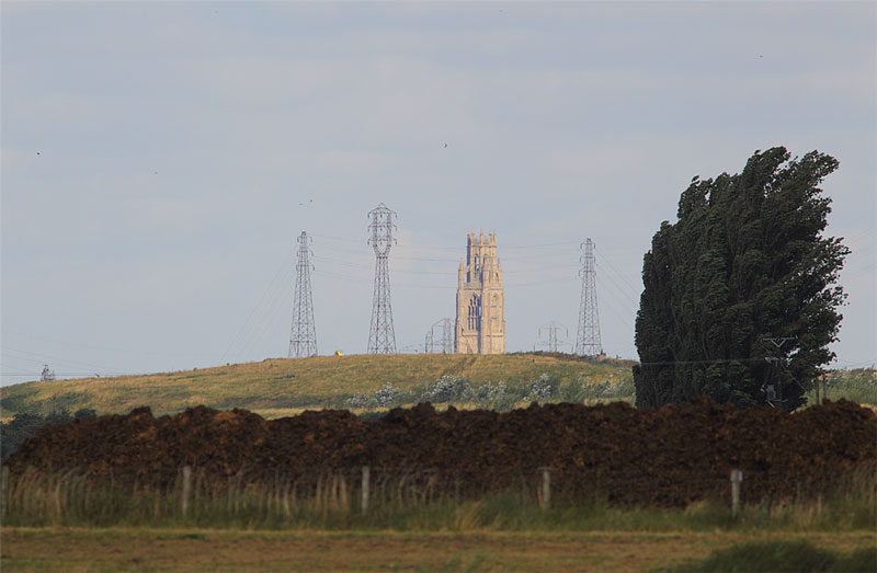 Boston-Stump-16943050
