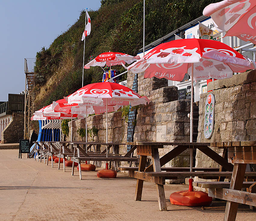 Surf Shack 1606390
