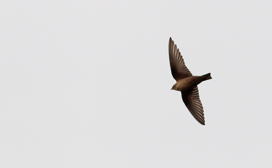 Crag Martin 2 _S1Q1218
