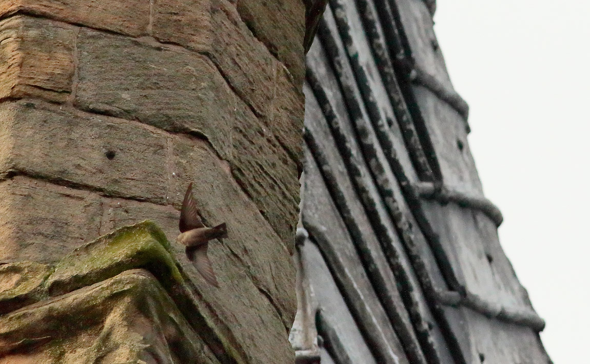 Crag Martin_S1Q1201