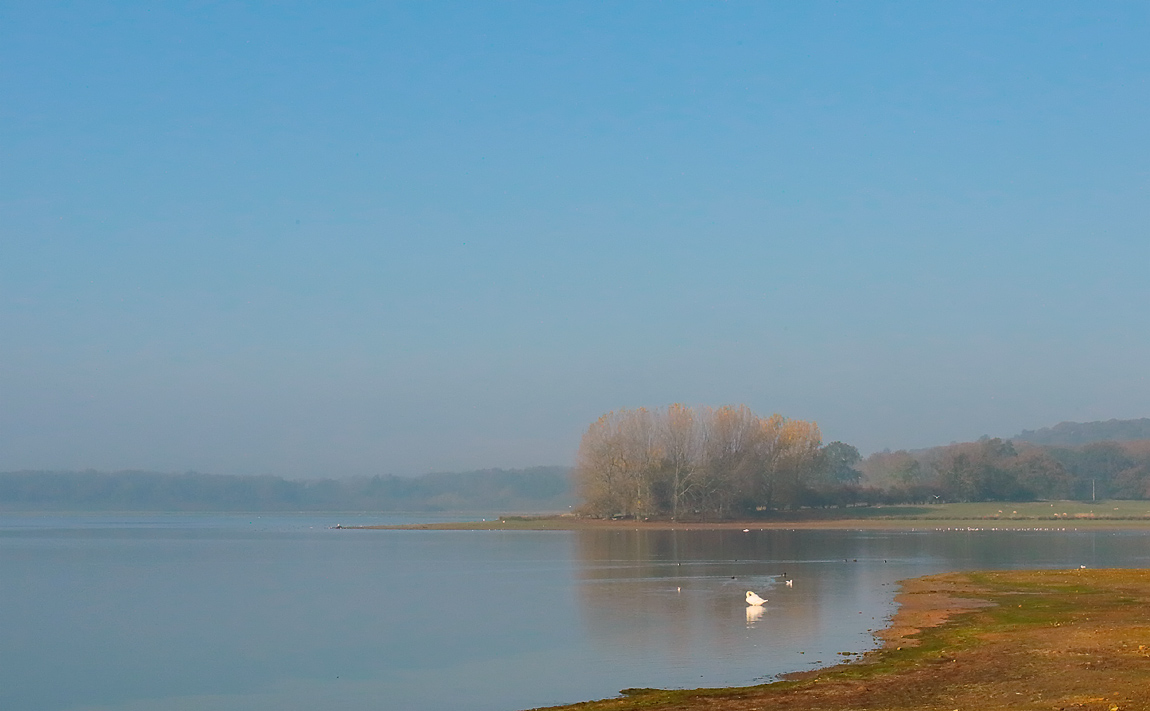 Rutland Water_S1Q1104