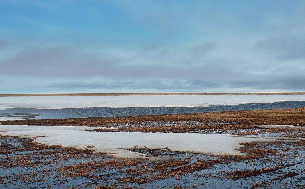 Barrow - Arctic Tundra_S1Q5783