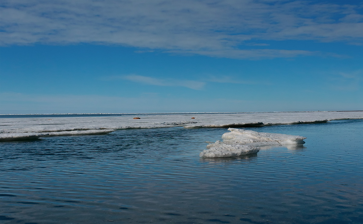 Barrow - The Pack Ice Flow_S1Q5797