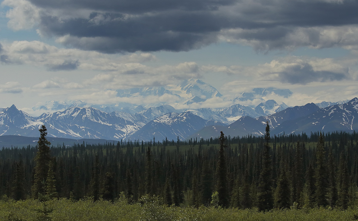 Denali _S1Q5958
