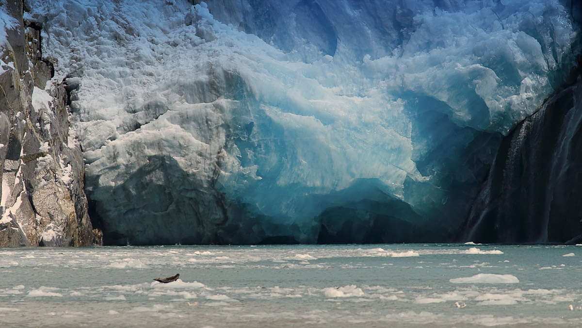 Glacier_J4X8869