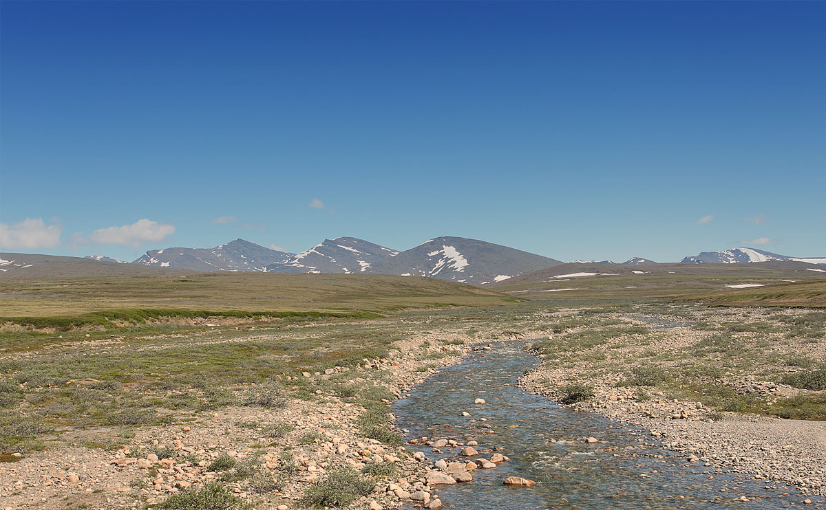 Nome - Arctic Tundra_S1Q5493