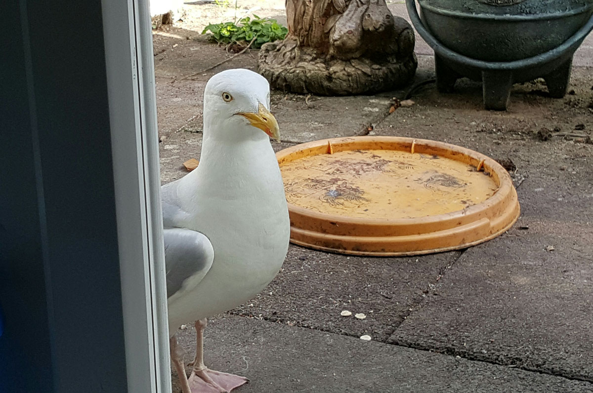 Steve 20160730_173906