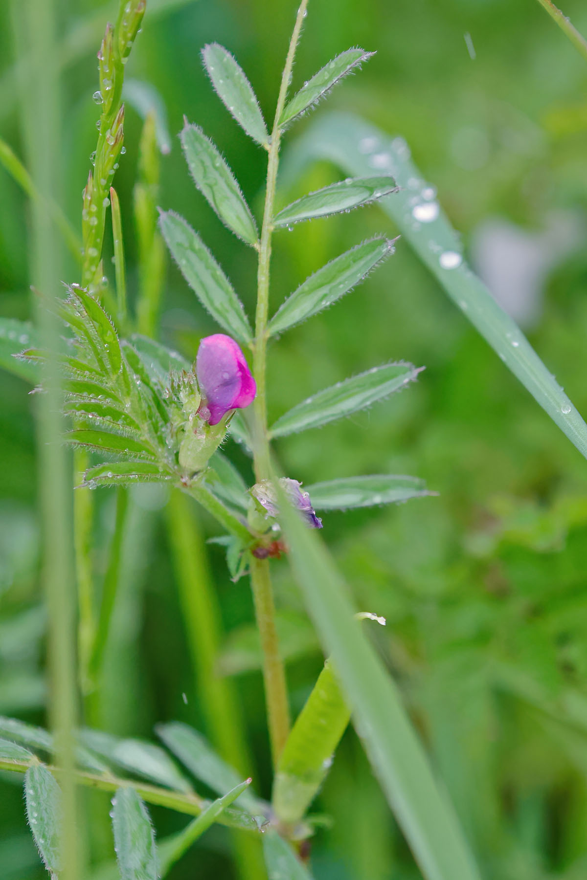 Further June Highlights